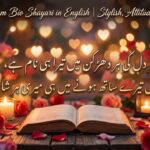 150+ Instagram Bio Shayari in English Stylish, Attitude & Love Bios 
