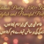 Attitude Poetry 150+ Bold, Stylish and Powerful Poetry 
