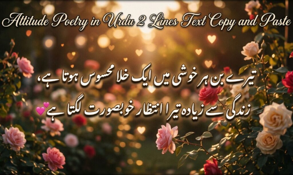 Attitude Poetry in Urdu 2 Lines Text Copy and Paste