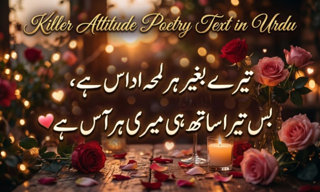 Killer Attitude Poetry Text in Urdu (2)