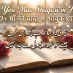 Miss You Maa Shayari in Hindi 150+ माँ की याद में भावुक शायरी 