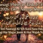 Narazgi Poetry in Urdu & Hindi 2026 150+ Narazgi Shayari